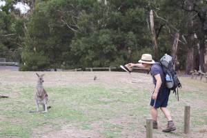Steht dem Kängeruh der Hut?